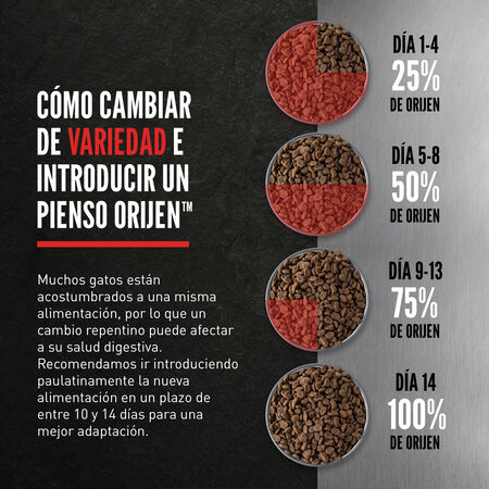 null - Product image 5.0